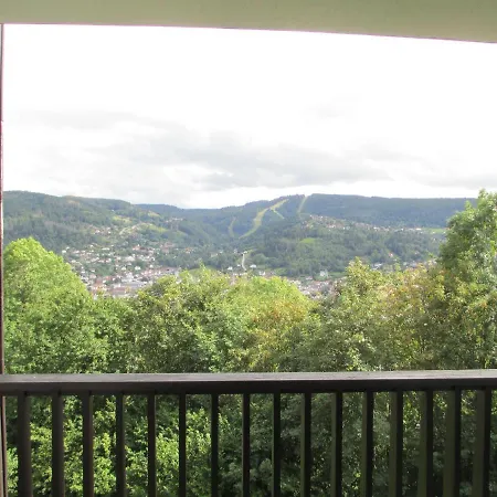 Apartment Studio Avec Balcon Et Vue Sur Les Pistes De Ski, Parking Privatif, Tout Inclus - Fr-1-589-621 *